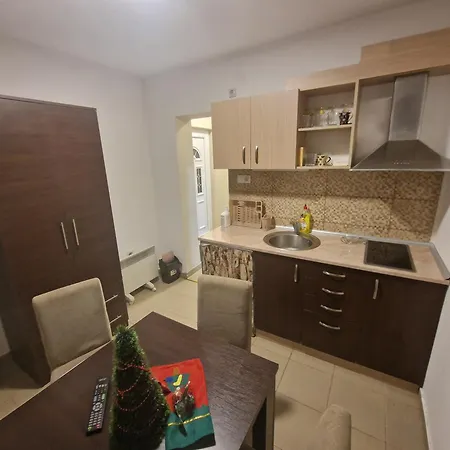 Apartman Sokobanja Apartment